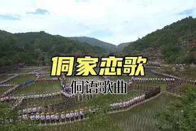 贵州省黎平县肇兴镇侗族田园好风光视频封面