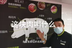 猪身上的部位名称