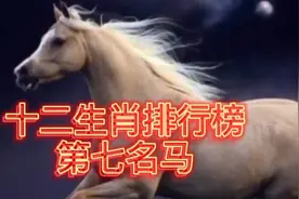 十二生肖排行榜第七名马！属马的朋友们点赞评论！