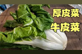 牛皮菜又叫厚皮菜，四川人喜欢这样做，入味下饭给肉都不换