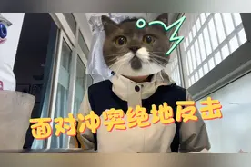 什么是冲突，一直在我身边我却全然不知🥲