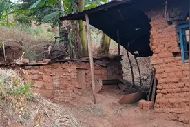 非洲布隆迪乡村的小院视频封面