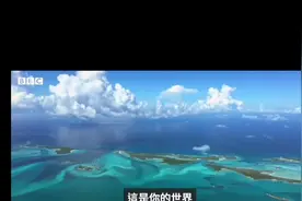 用拍桌子唱歌的方式让政府禁止使用一次性污染物品视频封面