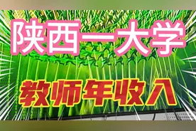 陕西一大学教师年收入，年终奖14500元。比中小学老师高视频封面