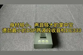 身形够小，声音够大的掌中宝，德劲最小的DSP两波段收音机DE333视频封面