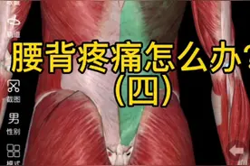 腰背部疼痛的原因、症状和激痛点，希望能帮到你视频封面