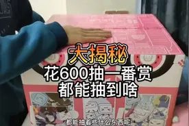 大揭秘，花600抽魔力赏都能抽到啥东西