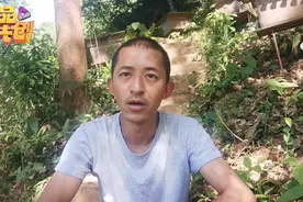 雄蜂太多能除掉吗？听师傅怎么说吧，这些情况雄蜂用处大视频封面