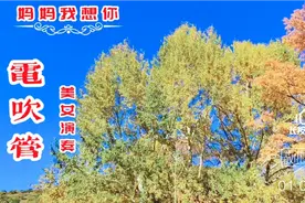 电吹管美女演奏《妈妈我想你》/深入心灵的音乐