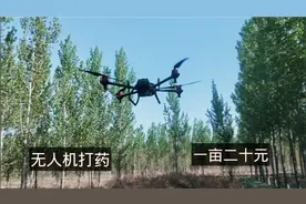 杨树长虫子了，手工不行，用无人机打药，一亩二十元。