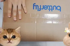 蝴蝶牌8230A缝纫机开箱视频~中秋的库存，来发一下~视频封面