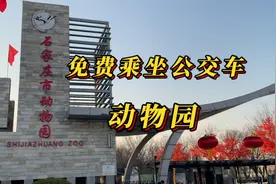 免费乘坐公交车去石家庄动物园，街边冷冷清清，商铺桌椅布满灰尘视频封面