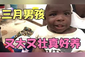 非洲天气平均26度，小孩长得快越大越黑，从出生没打过针，太好养视频封面