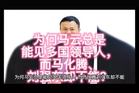 为何马云总是能见多国领导人，而马化腾、刘强东却不能？视频封面