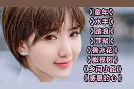 《童年》《水手》《踏浪》《萍聚》《鲁冰花》《橄榄树》