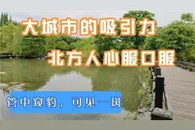 南北方差异确实大，上海为什么吸引人，连自然环境都如此优秀视频封面