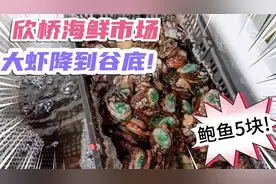 西安海鲜市场海鲜价格暴跌!鲈鱼活虾价格降到谷底 来看看多少钱视频封面