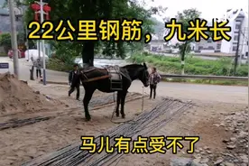 三个马驮九米长的钢筋，就像八仙过海各显神通啦