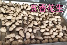 花生太好吃了！五香花生的制作过程，这是我家孩子爱吃的小零食。