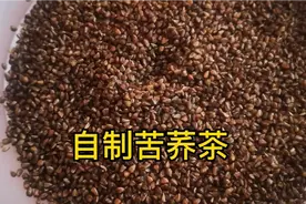 对糖尿病人特别友好的苦荞茶，是这样制成的！糖乐自制苦荞茶过程视频封面