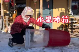 东北人做冰箱到底有多牛？水果冰箱完美出炉，纯冰制作零耗能视频封面