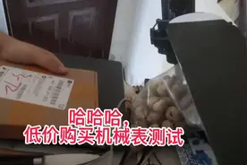 网购低价格机械表测试视频封面