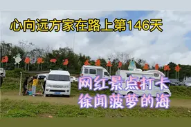 自驾游第146天，徐闻这一片菠萝的海，菠萝飘香的网红打卡景点