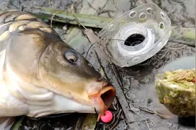 疯狂钓鱼人脑洞大开系列之自制喷射式改装版欧鲤钓组教程分享视频封面