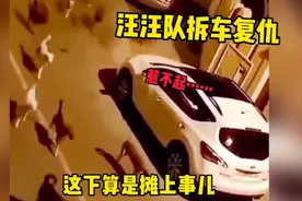搞笑配音：汪汪队拆车复仇，这下算是摊上事儿了，惹不起！视频封面