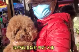 昆明安宁太平新城每逢周四会有一场大集。我带着迪碧跟姐姐也赶集视频封面