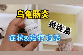 龟龟肠炎的症状及治疗方法！