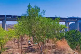 内蒙古沿黄公路  省道103线视频封面