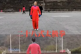 武当二十八式太极拳正，背面教学教程