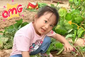 3岁萌娃第一次下地干活，力大无穷拔萝卜，趣事频发全家笑哈哈视频封面