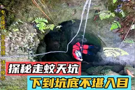 湖北大山一天坑，老人亲眼所见神龙飞升，进入探索才知此处不简单视频封面