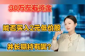 A股：30万左右的资金，能否买入2元低价股并长期持有呢？视频封面