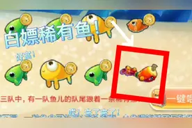 开心水族箱:可以白嫖的活动鱼！
