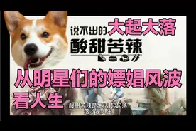 从李云迪、黄海波的嫖娼风波，看人生的起起落落视频封面