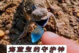 我们新疆不仅风景独特，地表海蓝宝石也是世界上唯一才有的产地