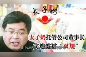 还原太子奶事件真相，高官内外勾结过程，比狂飙还狂飙视频封面