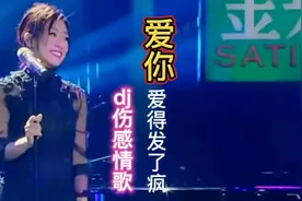 dj伤感情歌《爱你爱得发了疯》歌声悠扬伤感旋律优美百听不厌