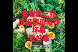 有我这三招，武汉南瓜事件坏事变好事视频封面