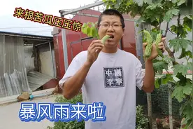 老家的暴雨终于来了？盼了一整天终有收获，小谢生吃苦瓜降降火！视频封面