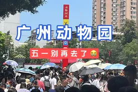 16块的门票，大熊猫的热度，导致五一的广州动物园地铁站沦陷