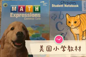 一起看一下皮皮小学用的教材，很少彩色，黑白居多视频封面