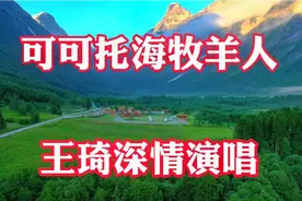 《可可托海牧羊人》凄美感人的沧桑感，王琦唱的太动听了！视频封面