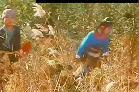 岳家小将：真功夫武打片，岳云不敌银铃，随后打败金弹子，精彩！视频封面