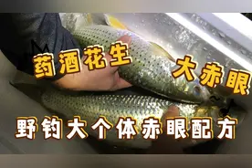 赤眼花生怎么泡？手杆野钓大个体“赤眼鳟”，花生泡制配方分享