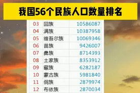 我国56个民族人口数量排名，维吾尔族1000万处于第五，汉族是多少视频封面