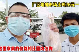 厂区地摊市场土鸡26元一只，柬埔寨家禽的价格相比国内怎样？视频封面